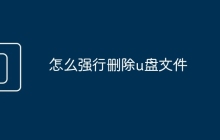怎么强行删除u盘文件