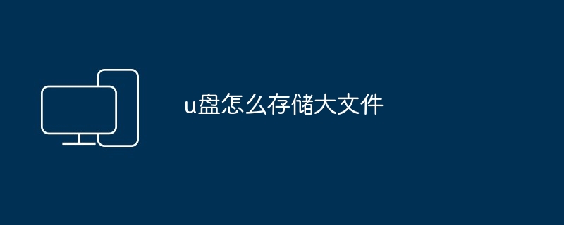 u盘怎么存储大文件