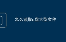 怎么读取u盘大型文件
