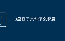 u盘删了文件怎么恢复