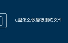 u盘怎么恢复被删的文件