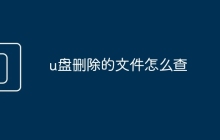 u盘删除的文件怎么查