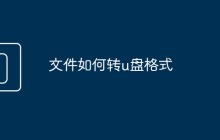 文件如何转u盘格式