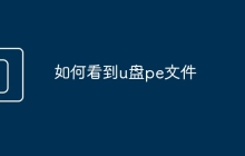 如何看到u盘pe文件