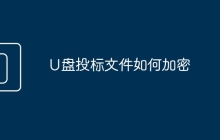U盘投标文件如何加密