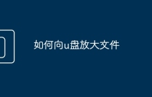 如何向u盘放大文件