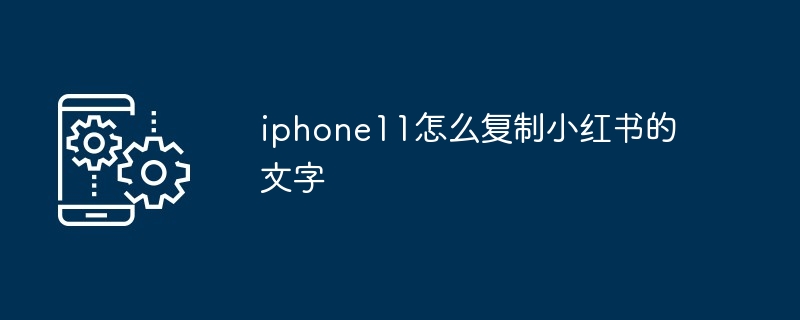 iphone11怎么复制小红书的文字