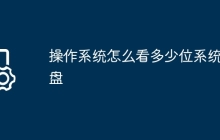 操作系统怎么看多少位系统u盘