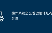 操作系统怎么看逻辑地址有多少位