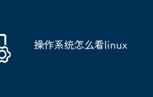 操作系统怎么看linux