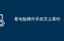 看电脑操作系统怎么看的