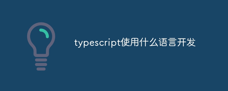 typescript使用什么语言开发