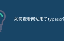 如何查看网站用了typescript