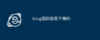 bing国际版是干嘛的
