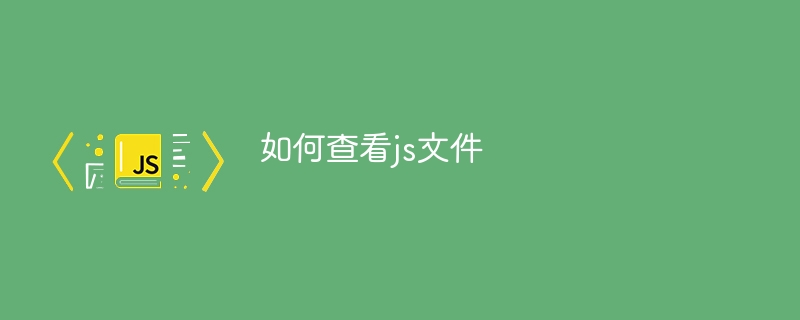 如何查看js文件