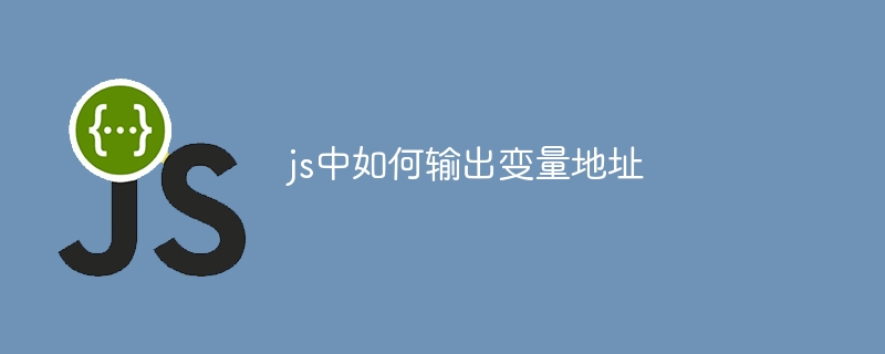 js中如何输出变量地址