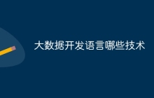 大数据开发语言哪些技术