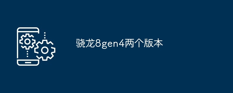 骁龙8gen4两个版本