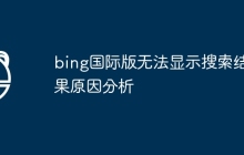 bing国际版无法显示搜索结果原因分析