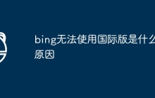 bing无法使用国际版是什么原因