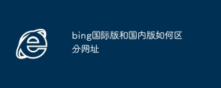 bing国际版和国内版如何区分网址