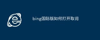 bing国际版如何打开取词