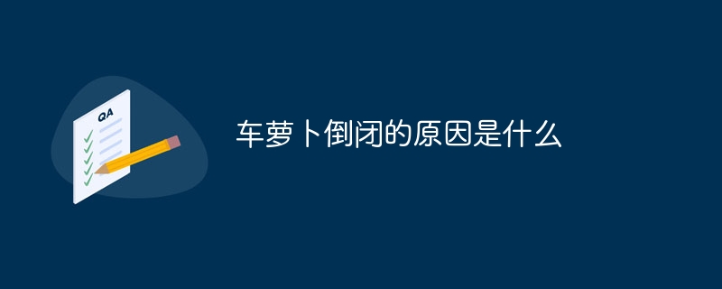 车萝卜倒闭的原因是什么
