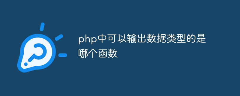 php中可以输出数据类型的是哪个函数