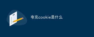 夸克cookie是什么