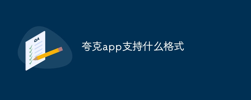 夸克app支持什么格式