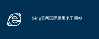 bing官网国际版用来干嘛的