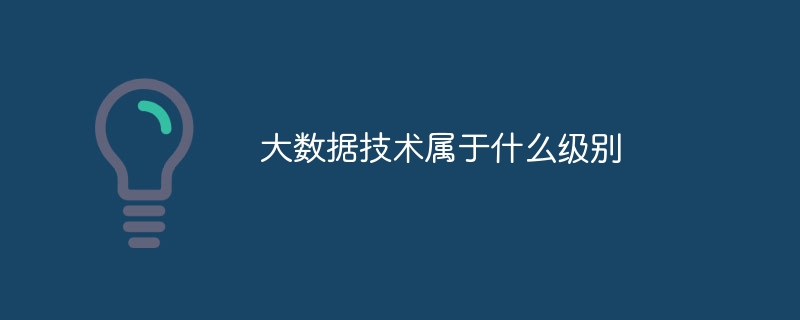 大数据技术属于什么级别