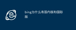 bing为什么有国内版和国际版