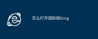 怎么打开国际版bing