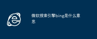 微软搜索引擎bing是什么意思