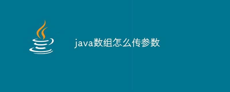java数组怎么传参数