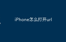 iPhone怎么打开url