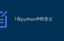 1在python中的含义