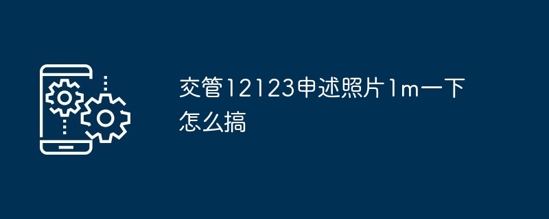 交管12123申述照片1m一下怎么搞