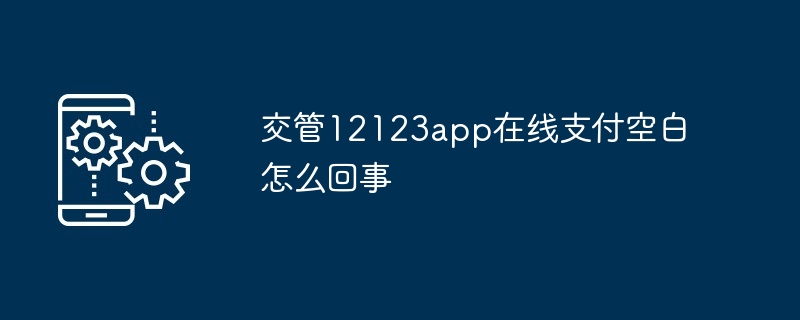 交管12123app在线支付空白怎么回事