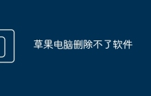 草果电脑删除不了软件