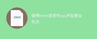 使用html语言和css开发商业站点