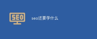 seo还要学什么