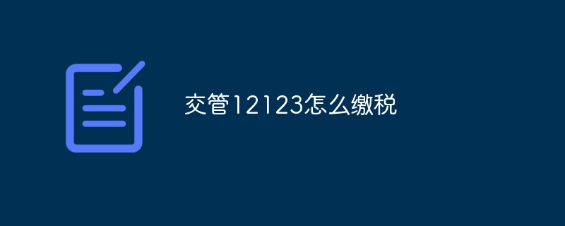 交管12123怎么缴税