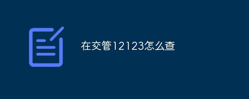 在交管12123怎么查