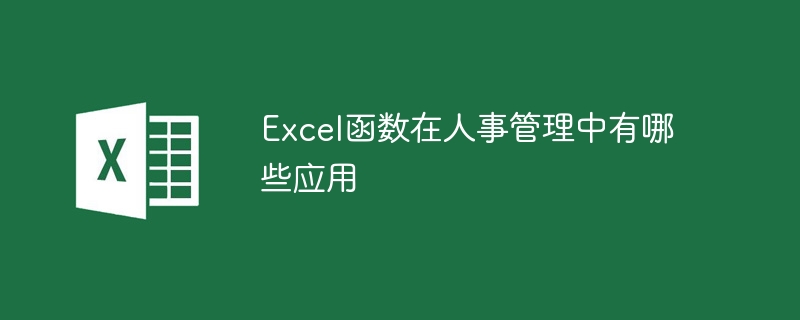 Excel函数在人事管理中有哪些应用 - 小浪云数据