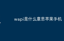 wapi是什么意思苹果手机