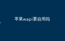 苹果wapi要启用吗