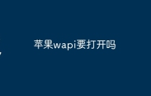 苹果wapi要打开吗