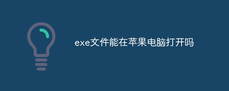 exe文件能在蘋果電腦打開嗎